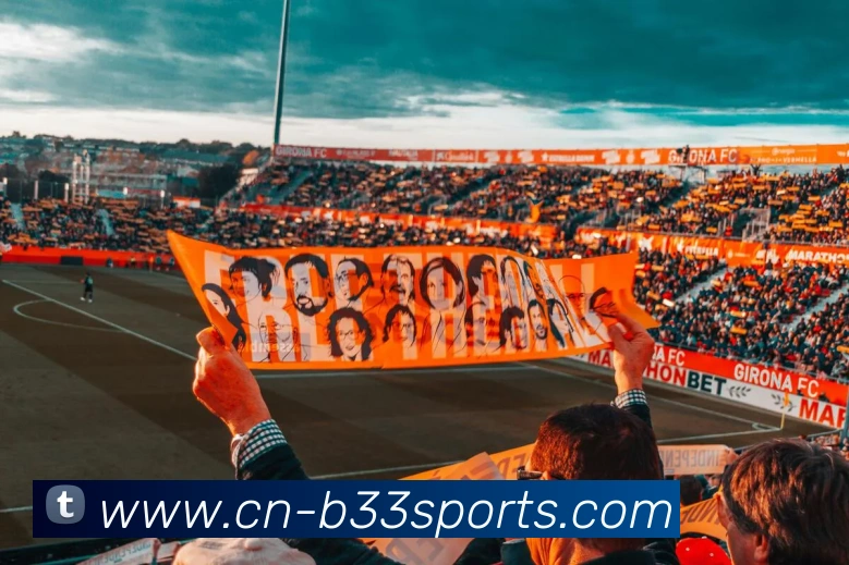 球赛投注平台生态图