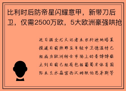 比利时后防帝星闪耀意甲，新带刀后卫，仅需2500万欧，5大欧洲豪强哄抢